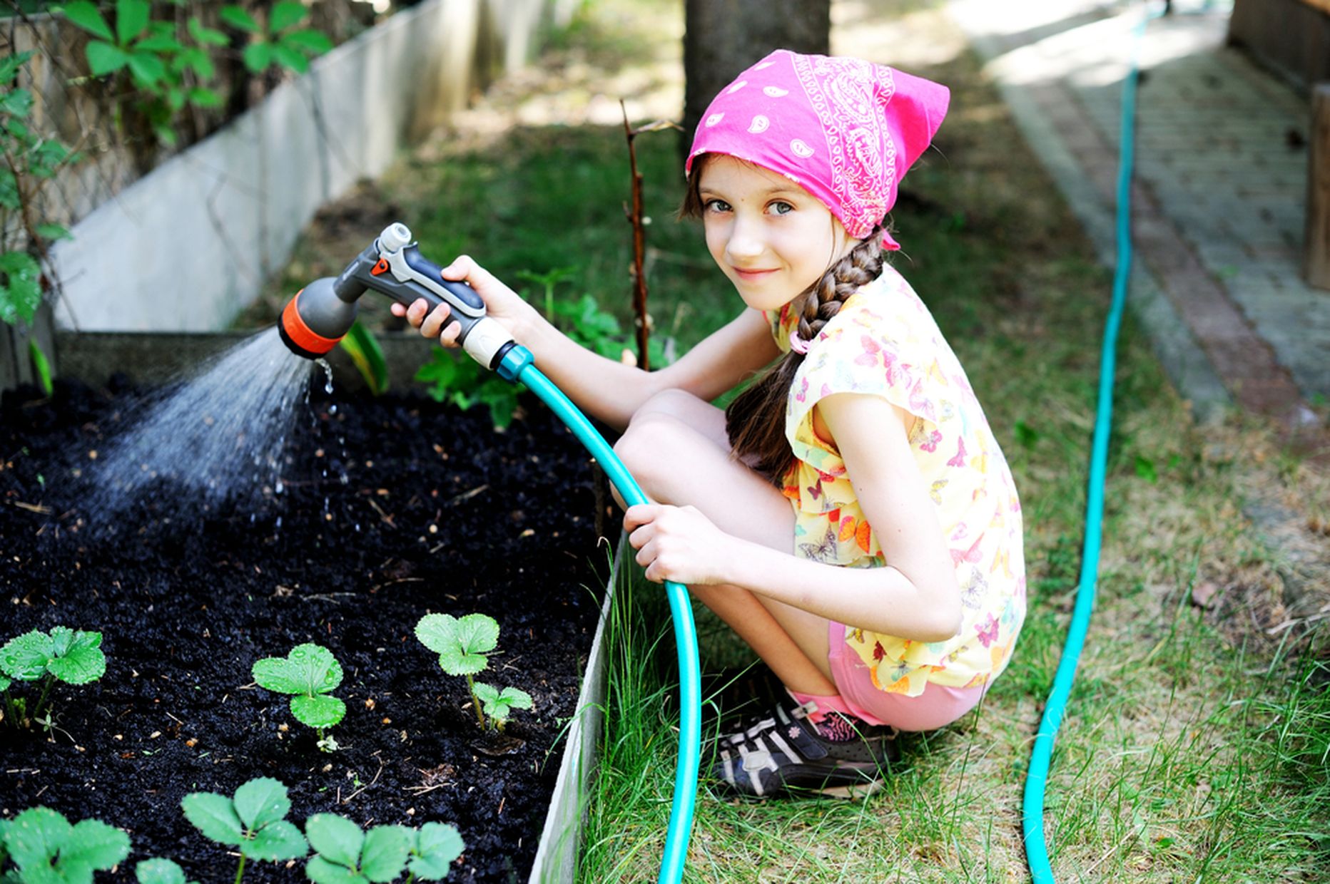 Väike tüdruk kastab taimi.