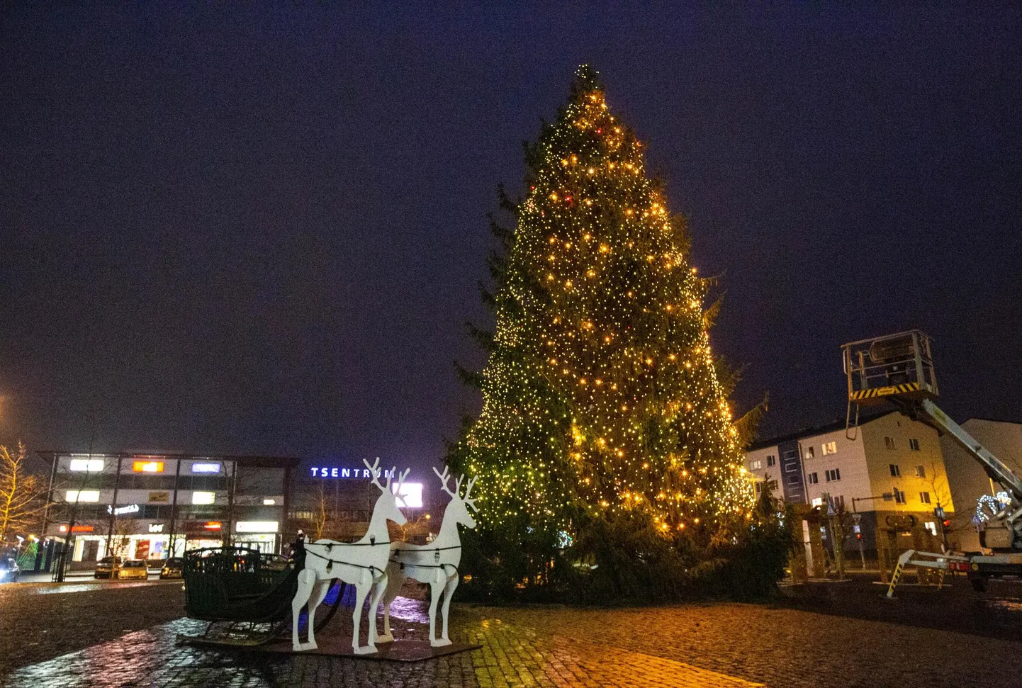 Rakvere linn asus otsima kuuske, millega pühadeks Keskväljak kaunistada.
