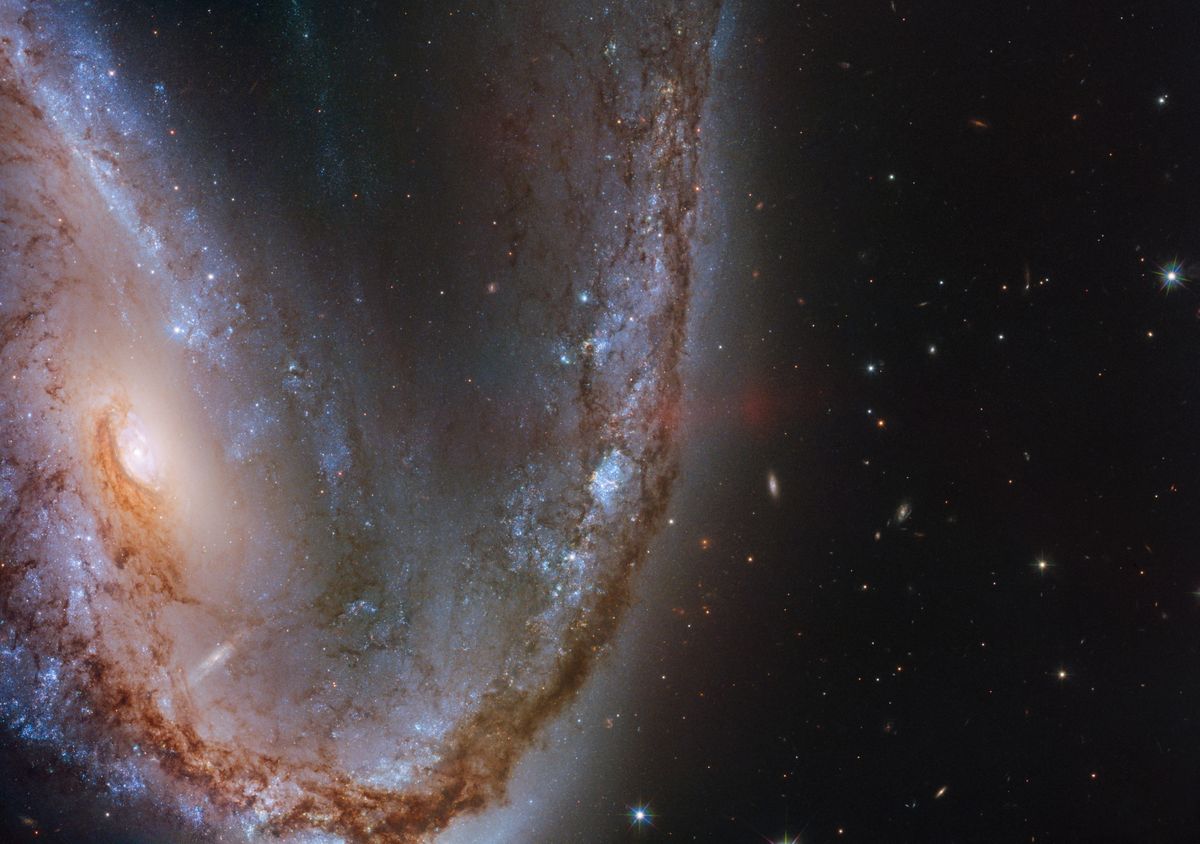 Galaktika “NGC 2442”, kas uzņemta ar Habla kosmisko teleskopu. Šajā galaktikā norisinājās supernovas sprādziens “SN2015F”, kuru radīja baltais punduris. Supernova bija tik spoža, ka bija redzama no Zemes pat ar nelielu teleskopu. 