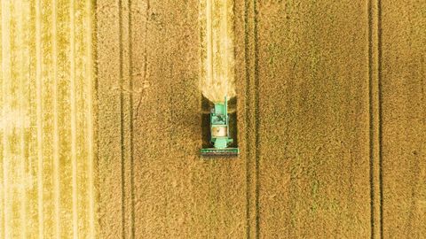 Eesti, Bulgaaria ja Ungari põllumajandustootjatele eraldatakse 21,5 miljonit eurot