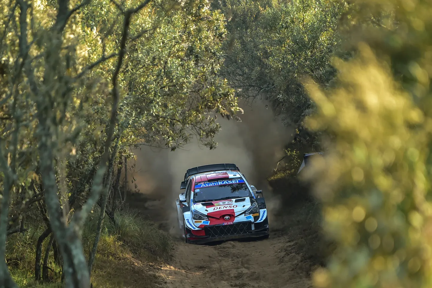 Sebastien Ogier Keenia MM-rallil.