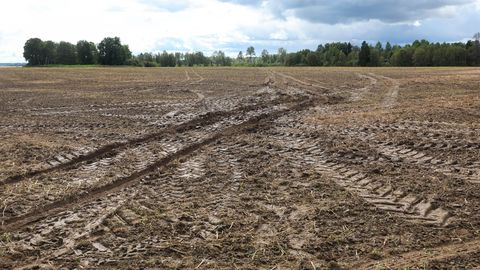 Pühapäeva hommikul lähenes Eestile kagust veel üks droon
