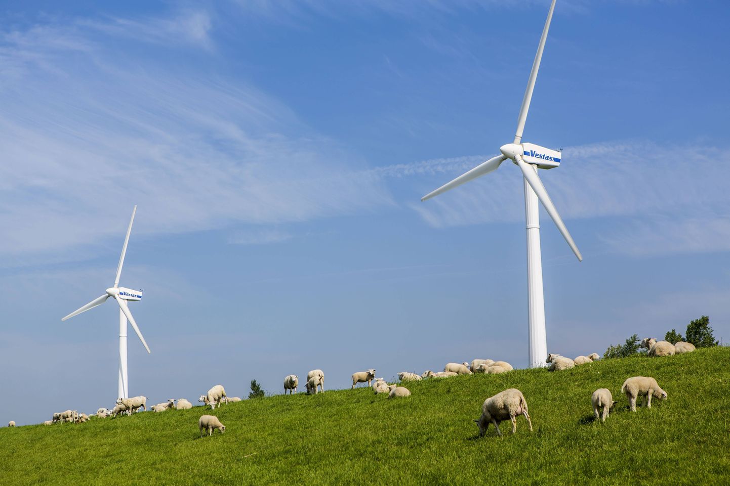 Vestas Wind Systemsi tuulikud puhusid tootjale kopsaka kahjumi