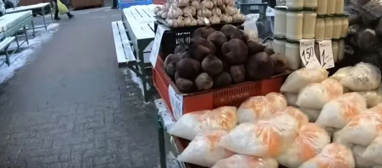 Фото статьи