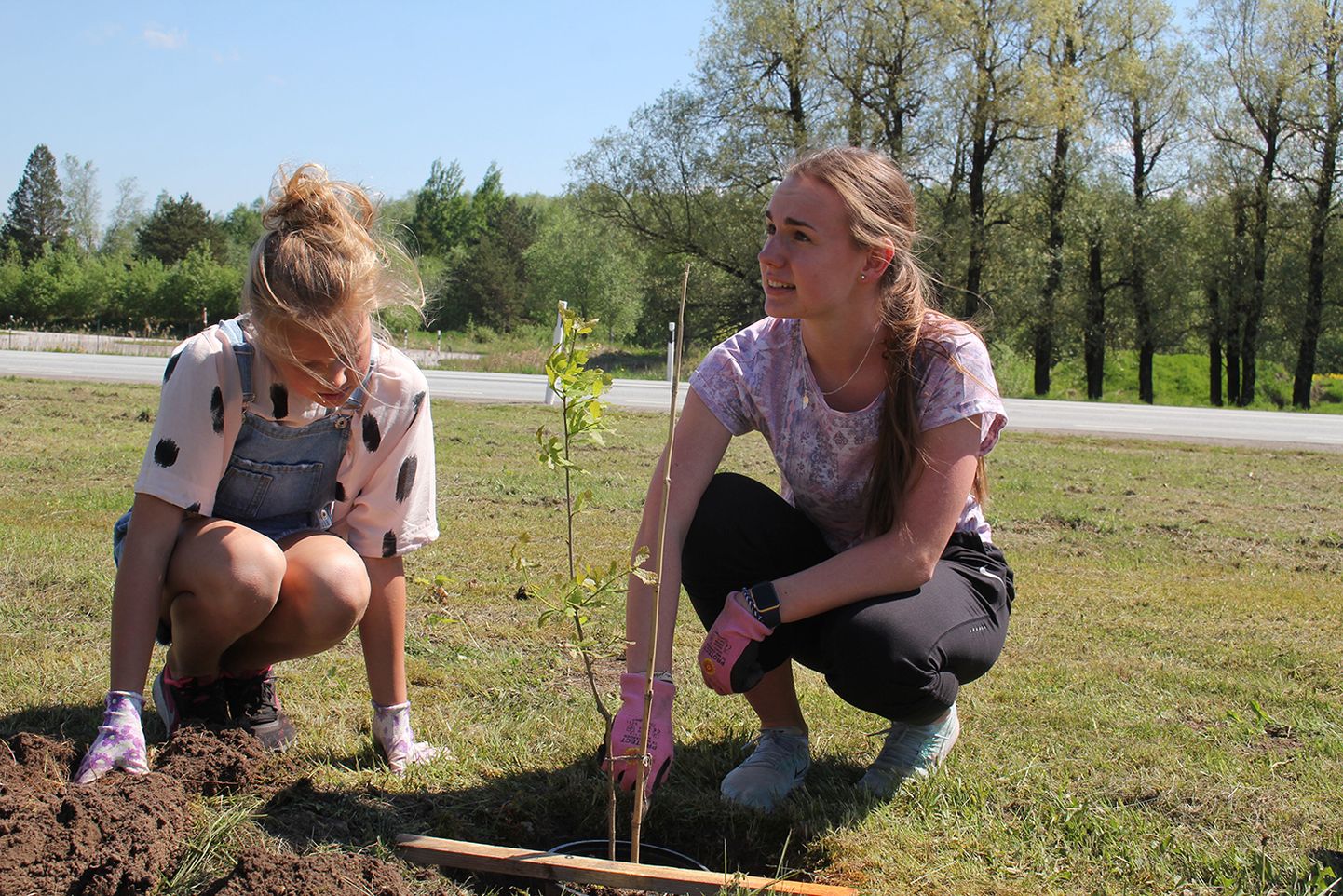 Eelmisel kevadel tammesid istutanud Mia Laurel Viilupi (paremal) ja Marie Marleen Jaanofi kätetöö kannab vilja, sest puud on kenasti juurdunud ja valmis uues kasvukohas suureks sirguma.