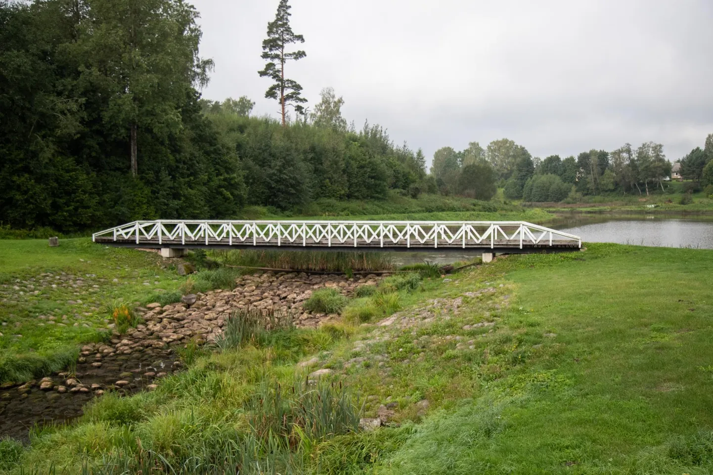 Viljandi valla ja Tarvastu järve äärse kinnistu elanike tüli arutanud ringkonnakohus otsustas eelmisel aastal, et järv tuleb veest tühjaks lasta. Paar nädalat tagasi laskiski vald järve tublisti madalamaks ning kohalikes on see suurt meelepaha tekitanud.