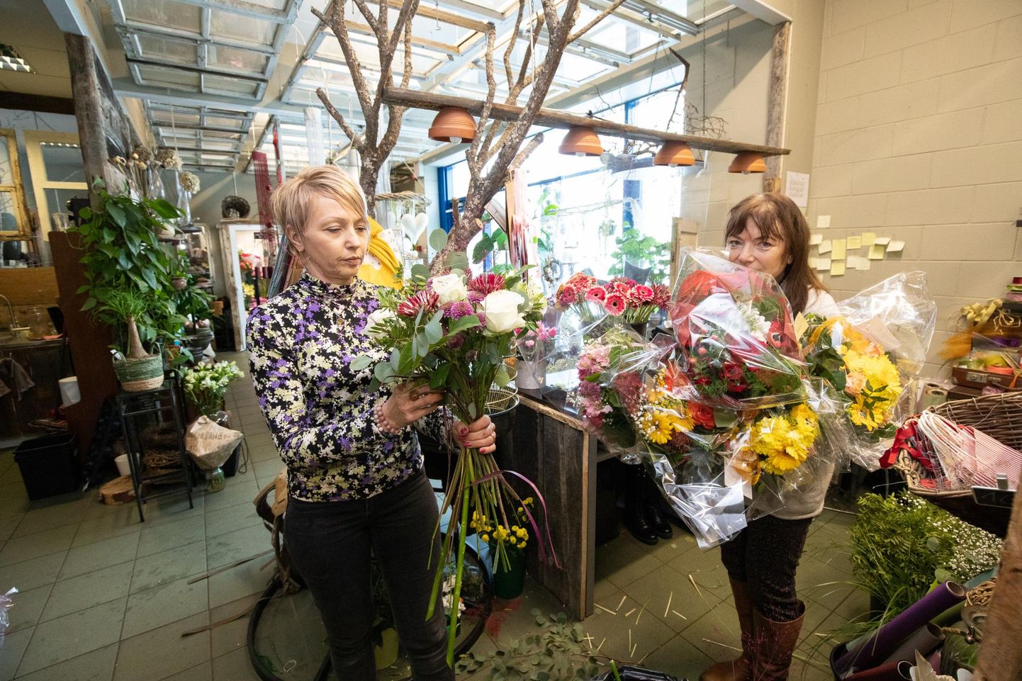 Naistepäeva ettevalmistused Helksiine lillepoes Rakveres. Lilleseadja Tiina Anton (vasakul) ja kaupluse juhataja Valvi Kool.