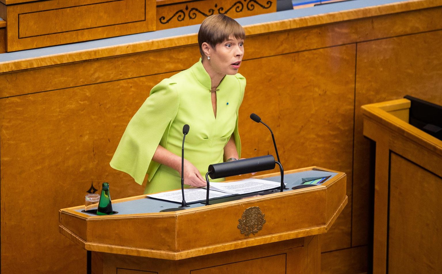 President Kersti Kaljulaid rõhus oma kõnes ka sellele, et tõelises heaoluriigis on riigi positiivne tähelepanu alati nõrgemas positsioonis olijal, olgu selleks vähemused, üksikvanemad, vähese sissetulekuga pered või puuetega inimesed. 