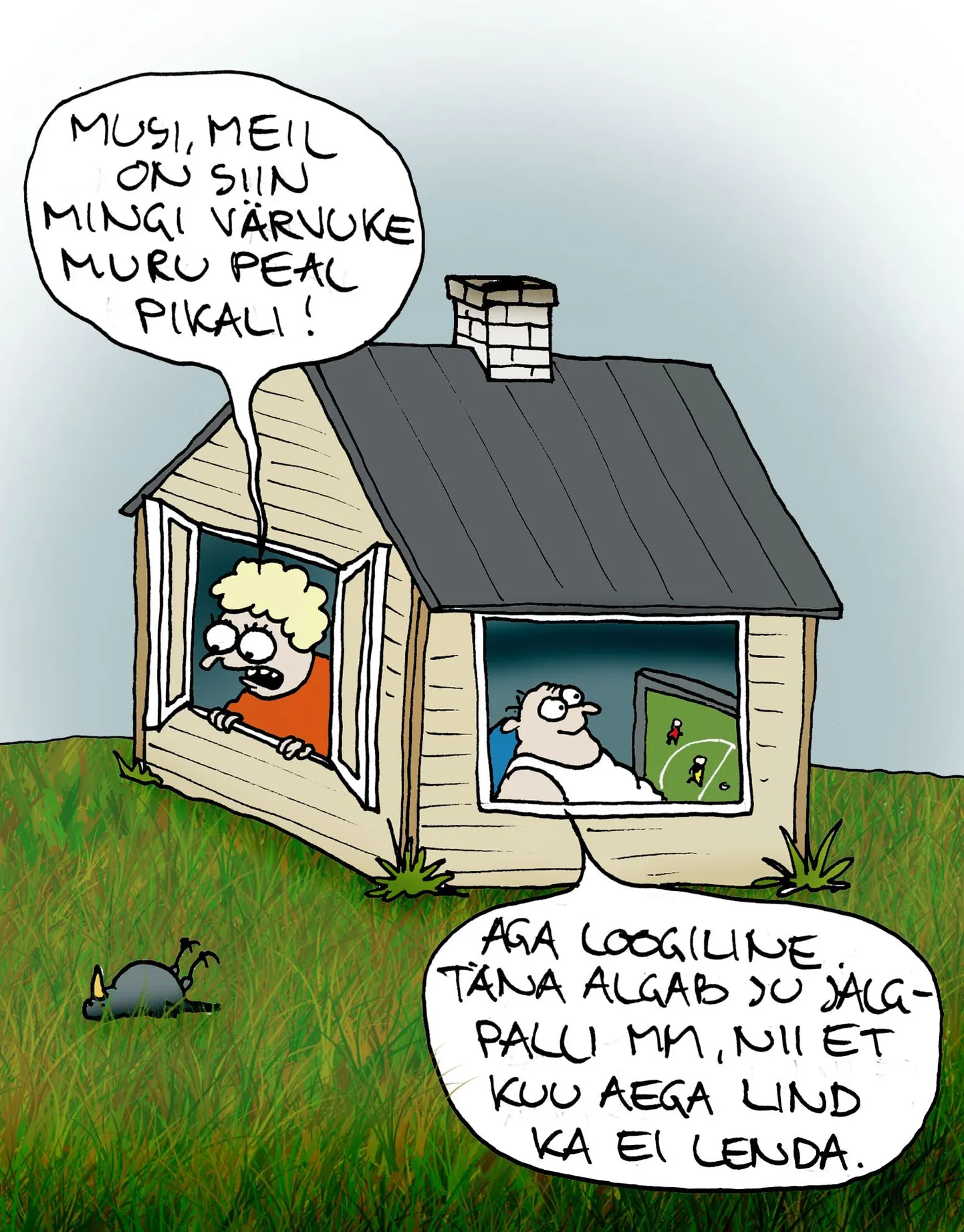 Artikli foto