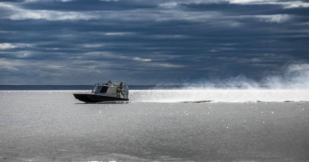 GALERII Raio Piiroja meisterdas keskkonnaametile mehise Vurri