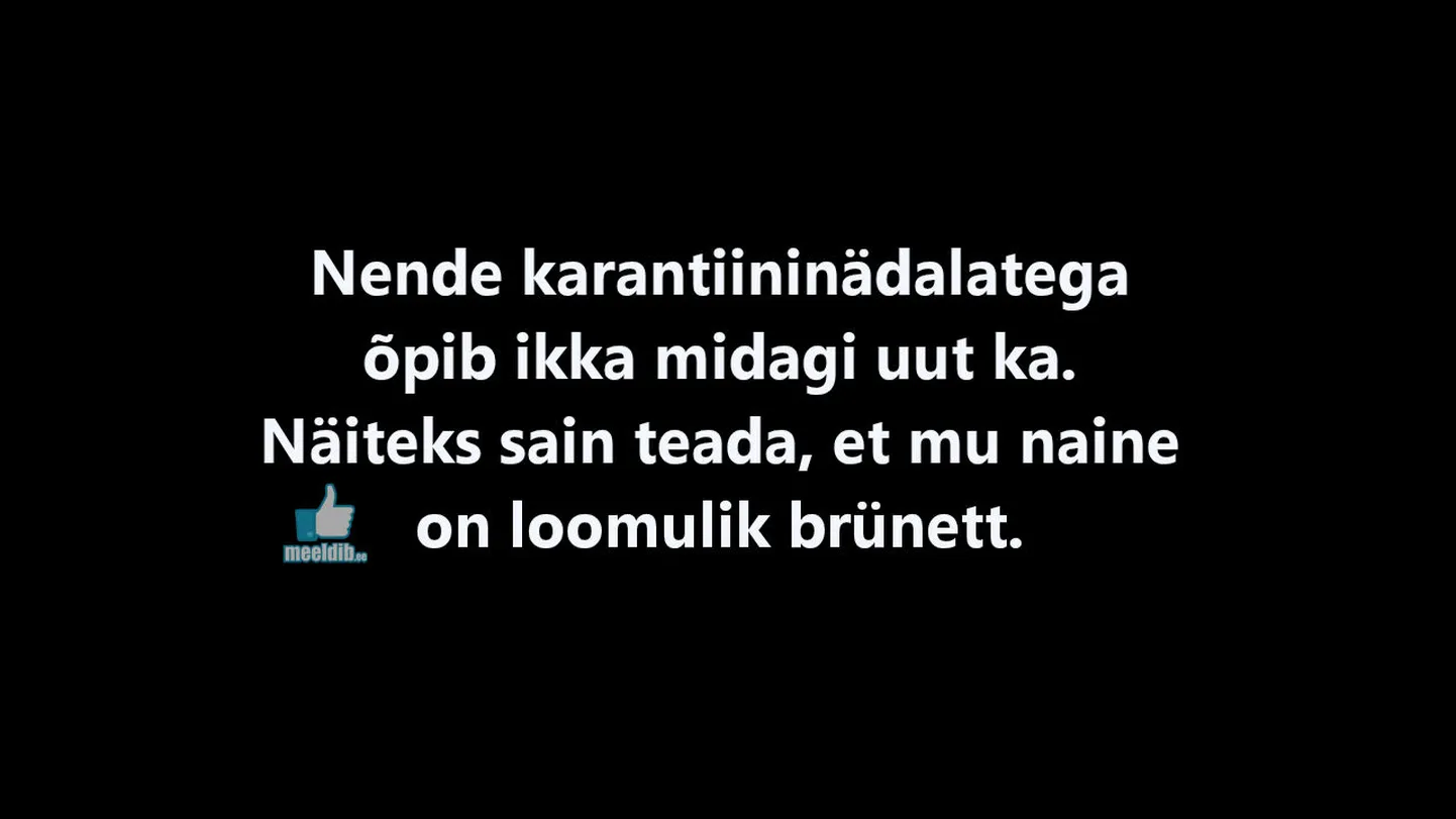 Artikli foto
