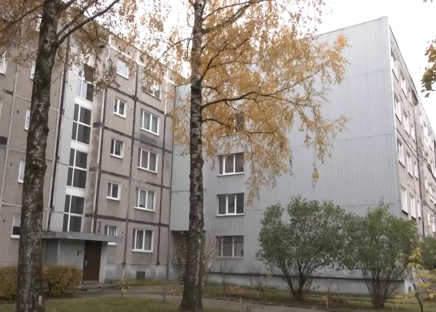 Дома в Иманте