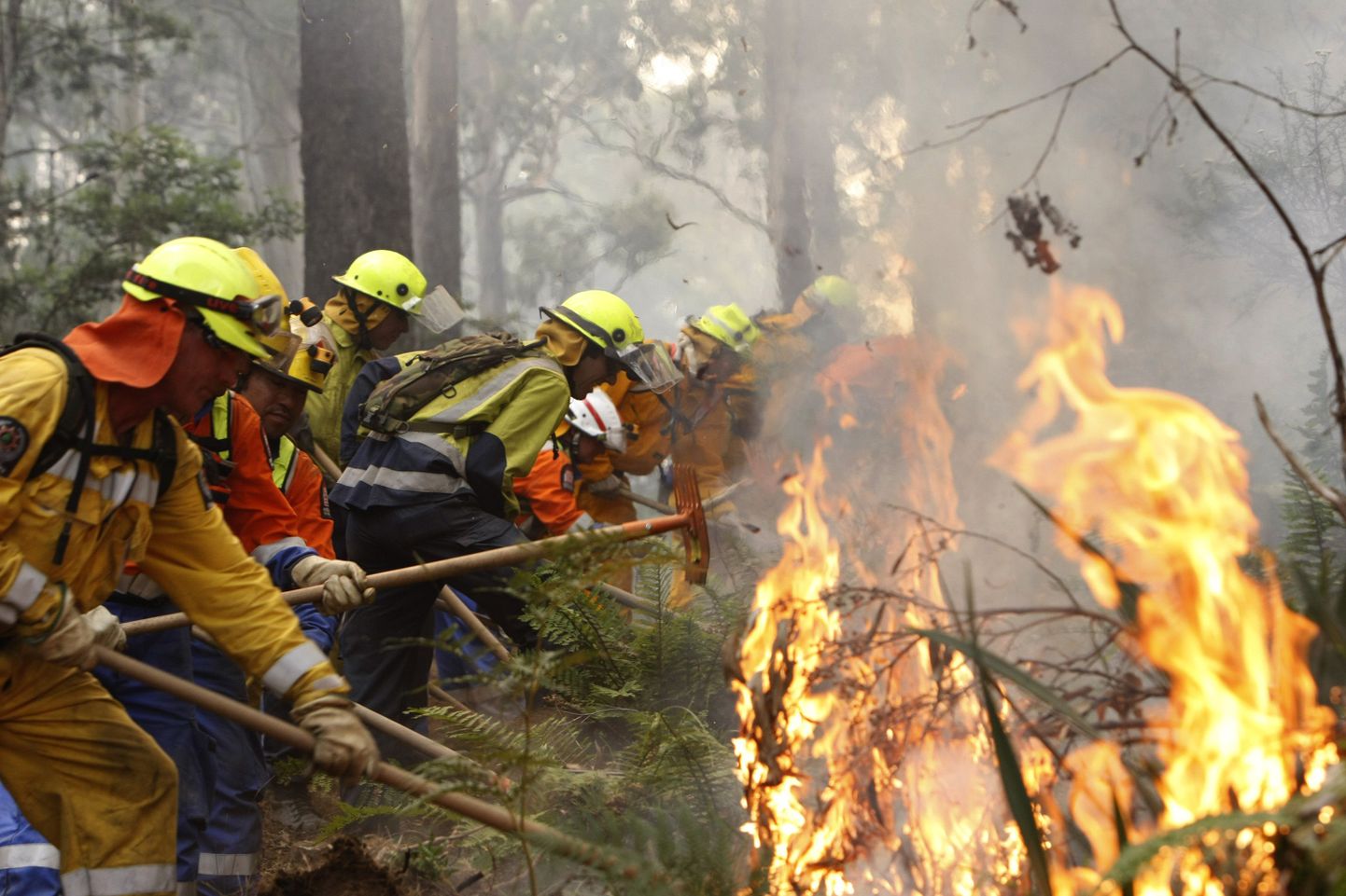 Austraalia võimud andsid tulekahjuhoiatuse.