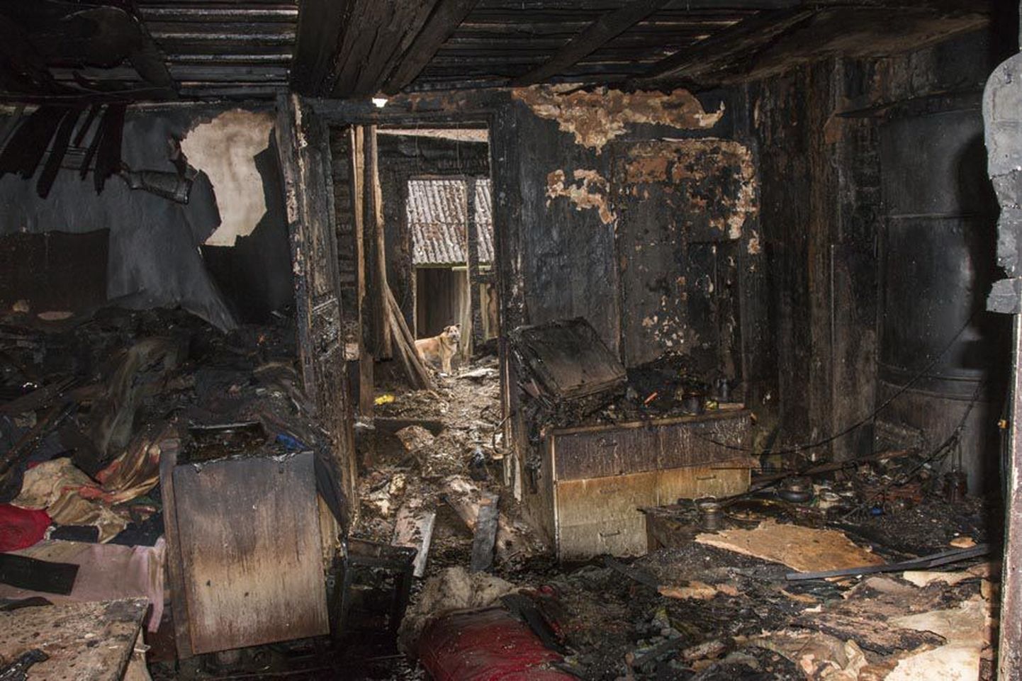 Aidu küla puust elumaja sai üleeile hilisõhtul puhkenud tulekahjus palju kannatada.