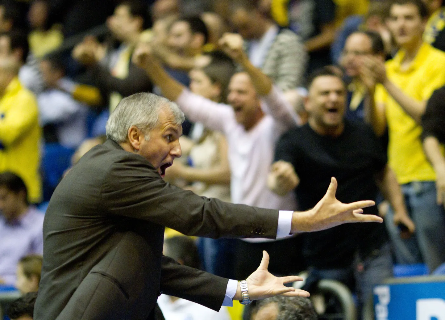 Ateena Panathinaikose nimekas peatreener Zeljko Obradovic.