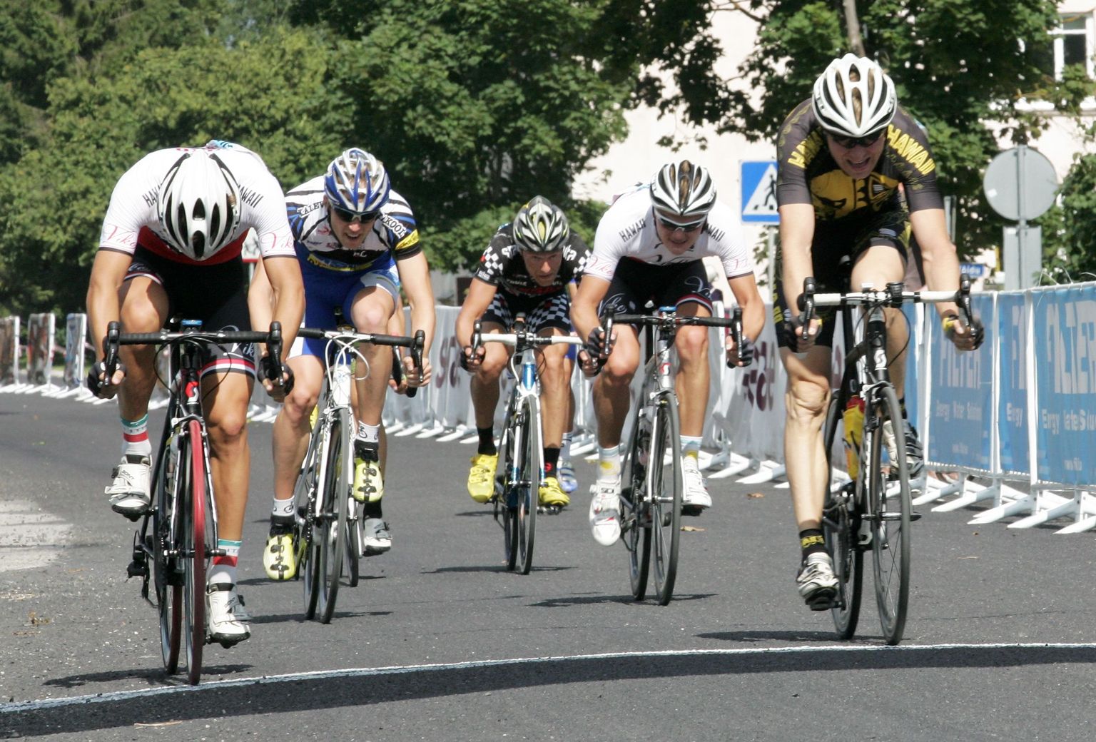 Jalgrattasport. Foto on illustreeriv.