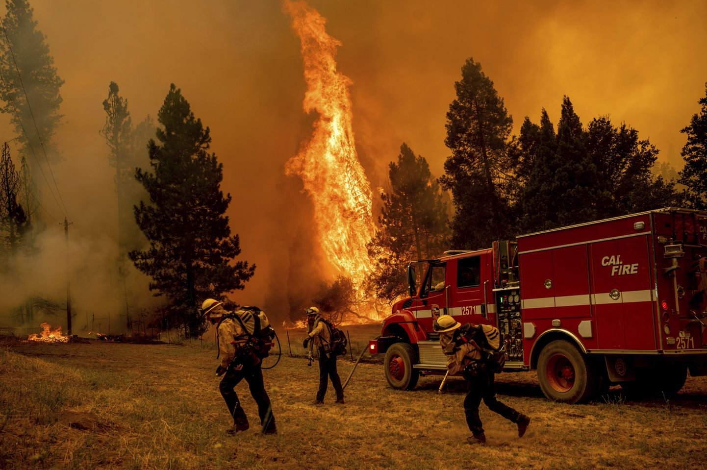 Tuleõrjujad püüavad takistada California maastikupõlengu Oak Fire levikut.