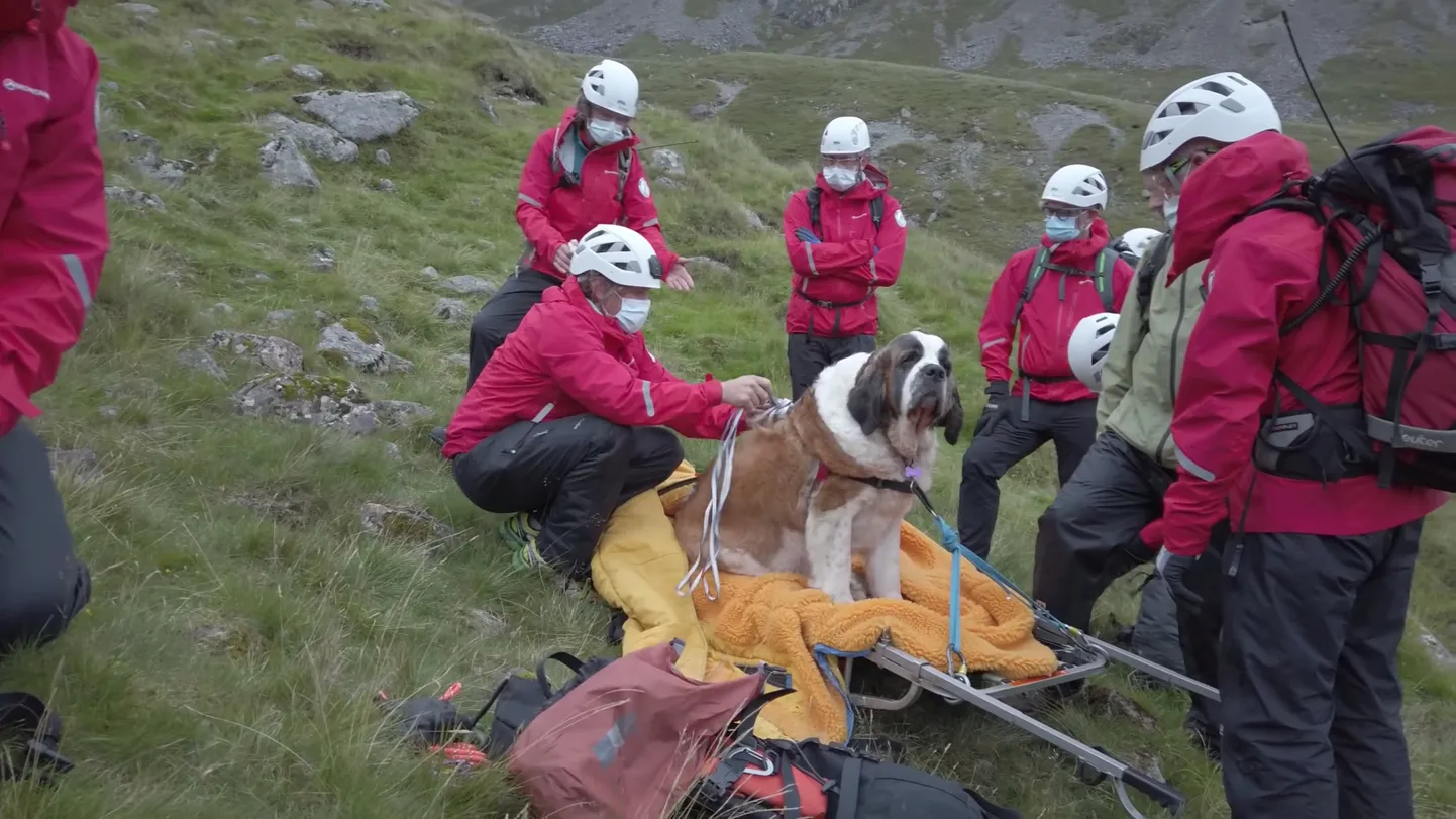 Bernhardiini päästmine Scafell Pike`ilt.