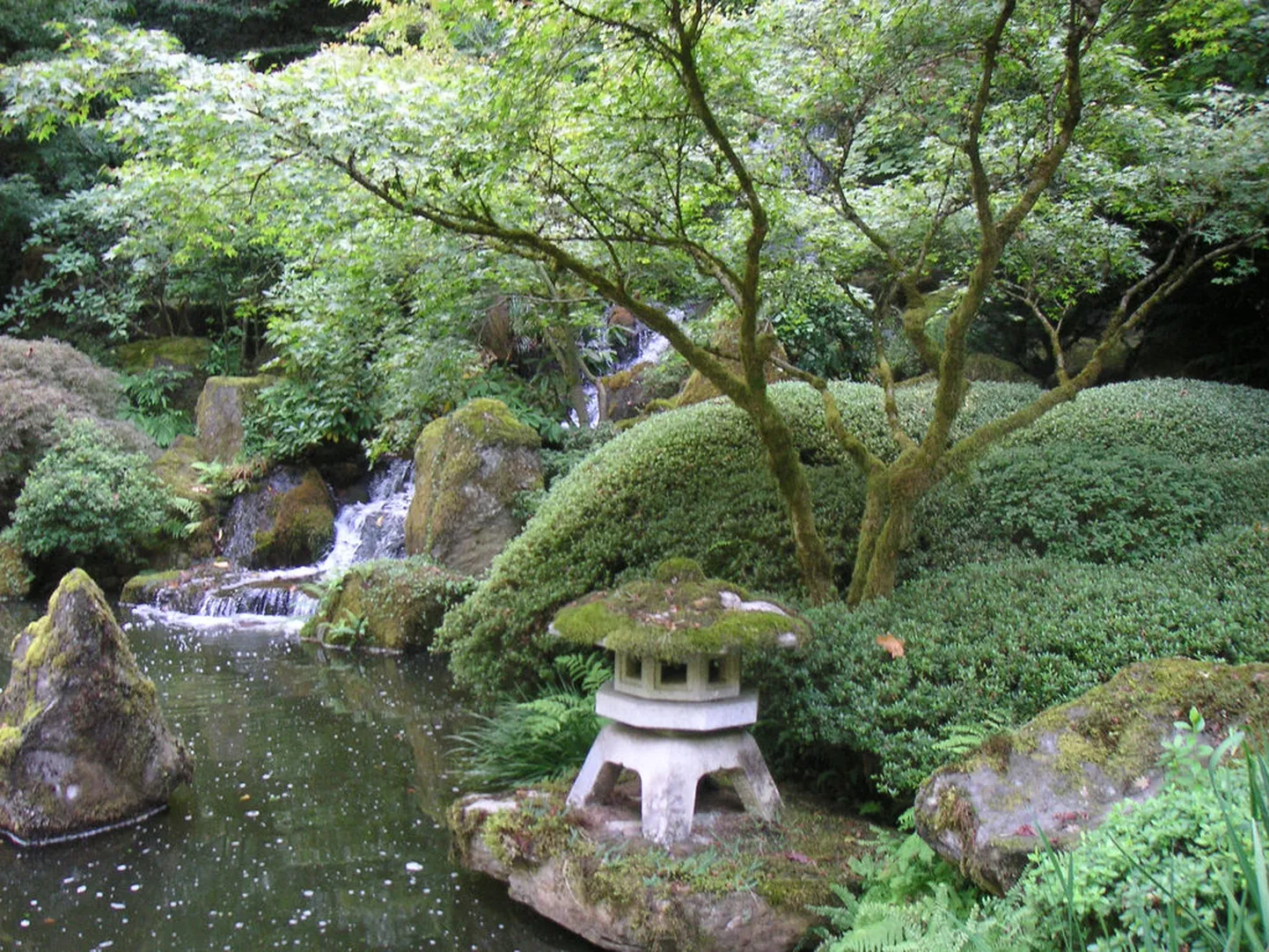 Jaapani aed traditsioonilise kivist laternaga.