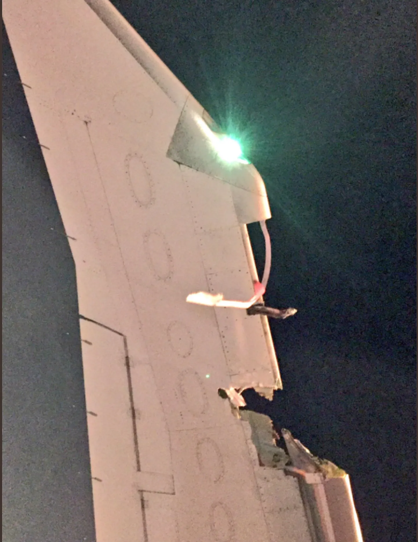Artikli foto