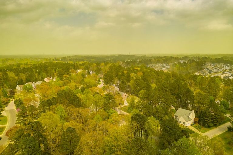 USAs Põhja-Carolinas muutus õhk paksu õietolmu tõttu kollaseks