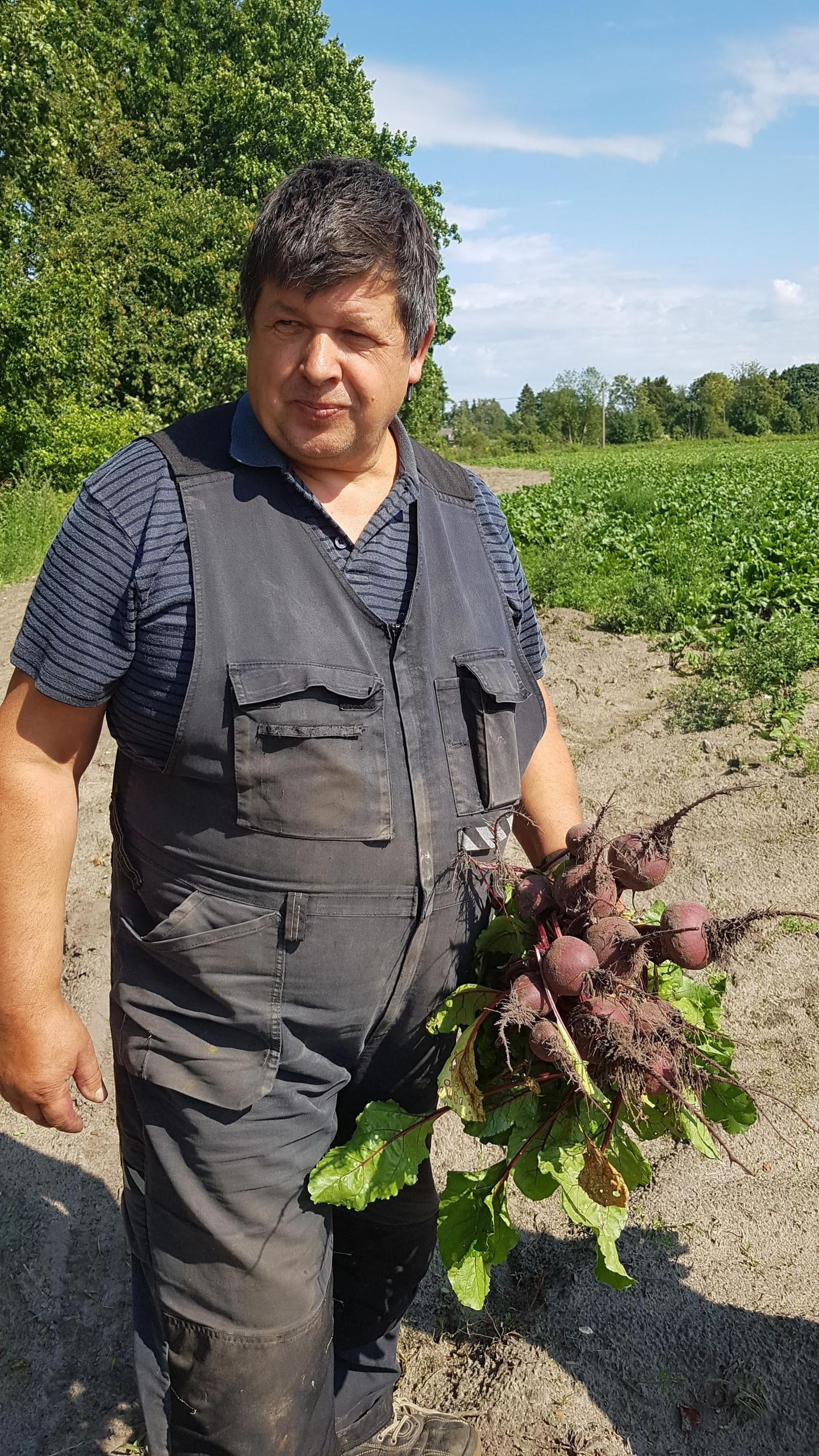 Saaremaa suurim köögiviljakasvataja Aarne Põri soovib tarbijatele kaupa võimalikult värskena pakkuda, nii võetakse kapsast, kartulit ja peeti näpuotsaga.