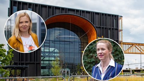 Dispute Over Estonian Natural History Museum Director Highlights Leadership Debate