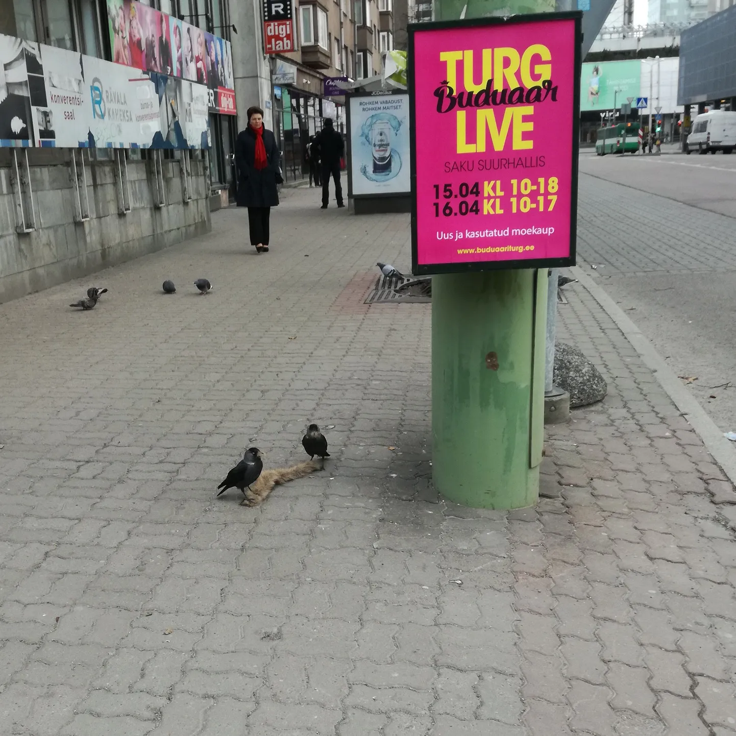 Artikli foto