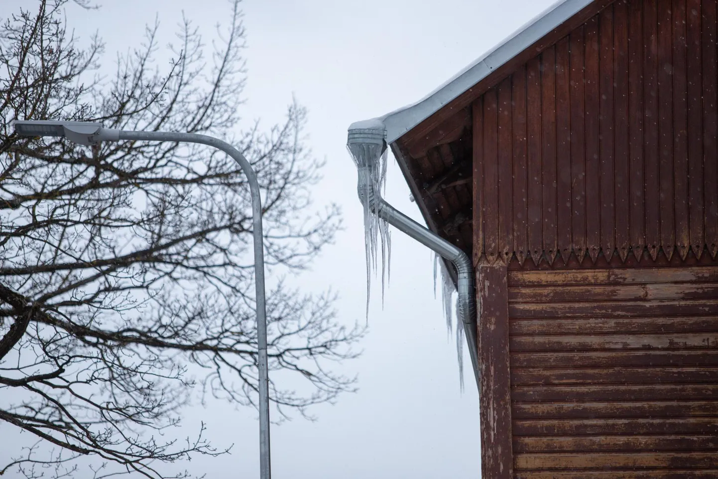 Selle jääpurika alt käivad läbi paljud Kesklinna kooli lapsed.