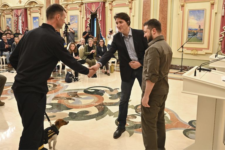 Kanada peaminister Justin Trudeau kätlemas Mõhailo Ilijevit, kellele kuulub Ukraina parim miiniotsijast koer Patron. Ukraina president Volodõmõr Zelenskõi (keskel) andis koerale ta töö eest autasu