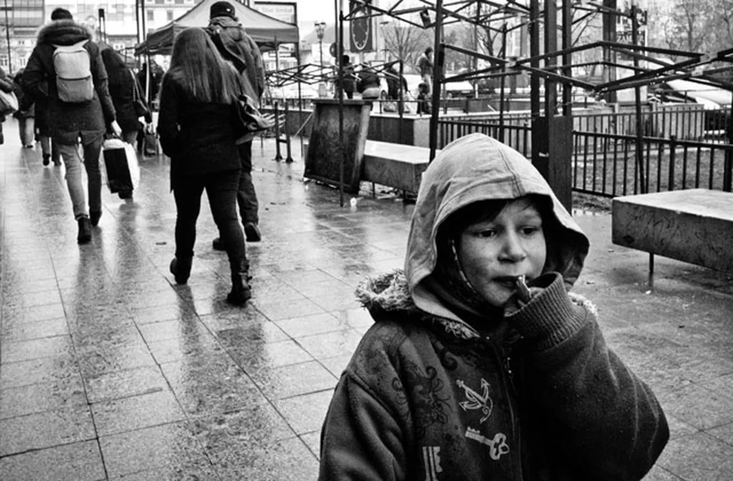Фото статьи