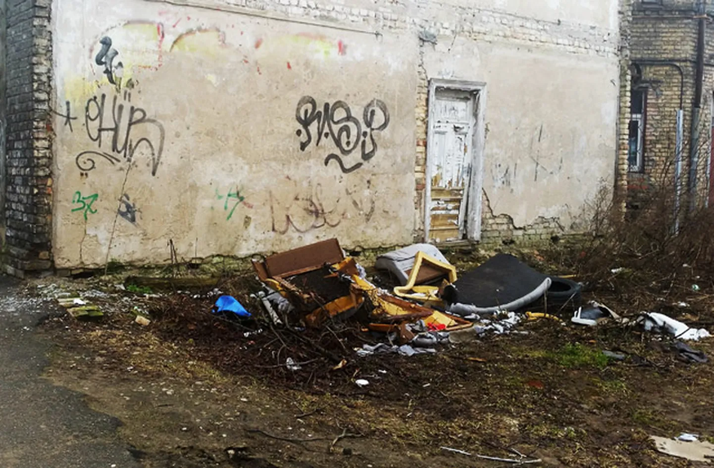 Raksta foto