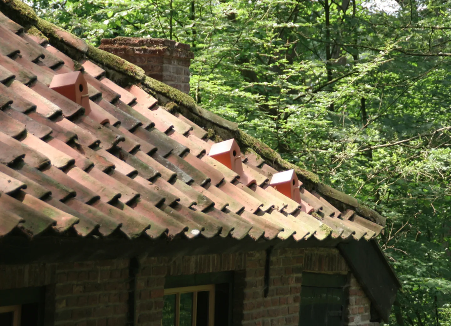 Raksta foto