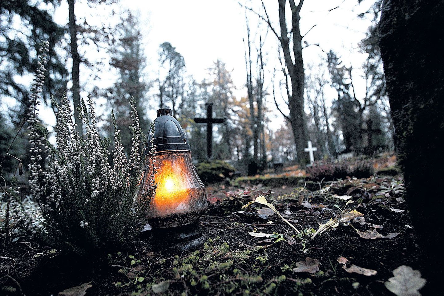 Raadi kalmistul süüdatud mälestusküünlad tekitavad pimedal ajal haudade kohale tulemere.