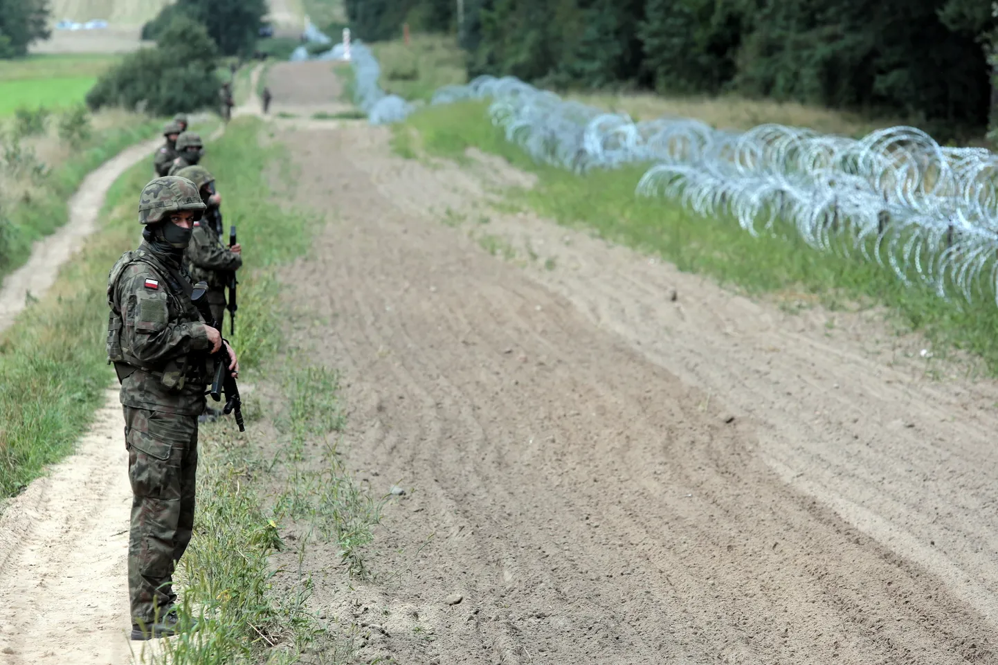 Raksta foto