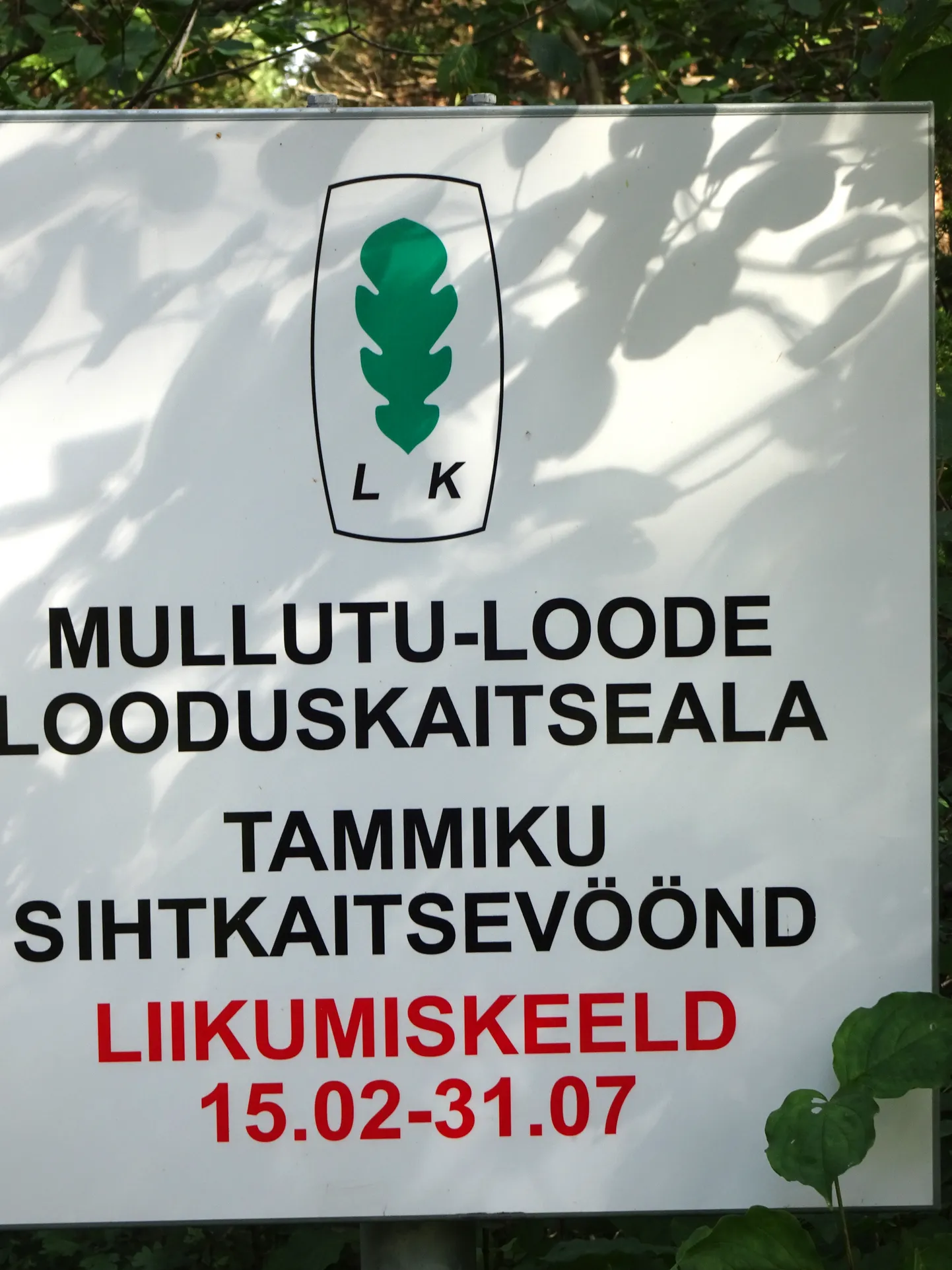 Artikli foto
