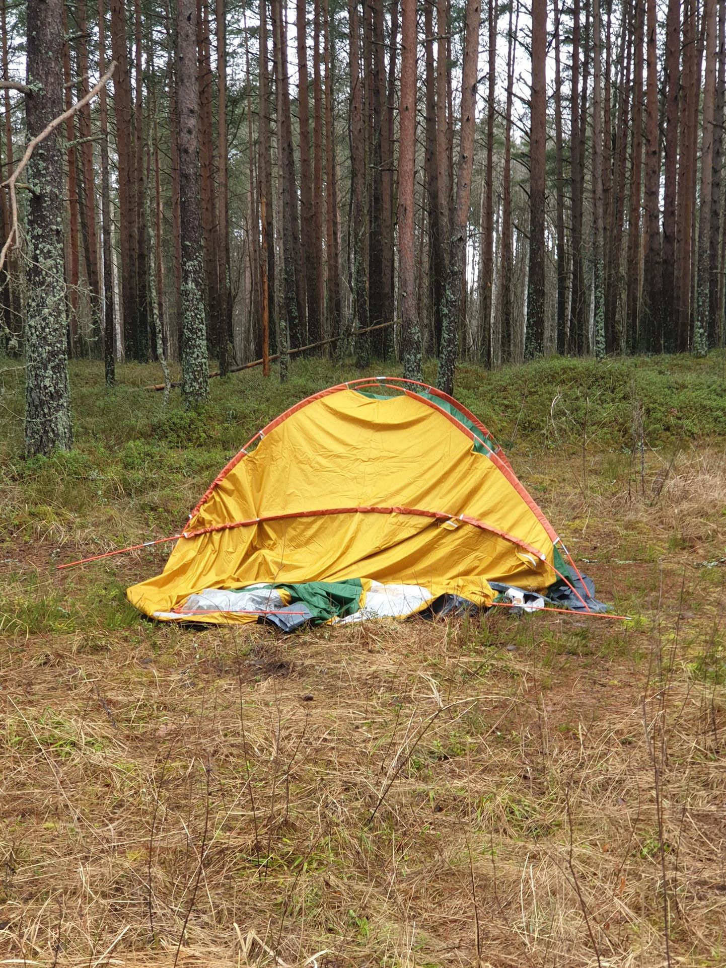 Палатка в лесу.