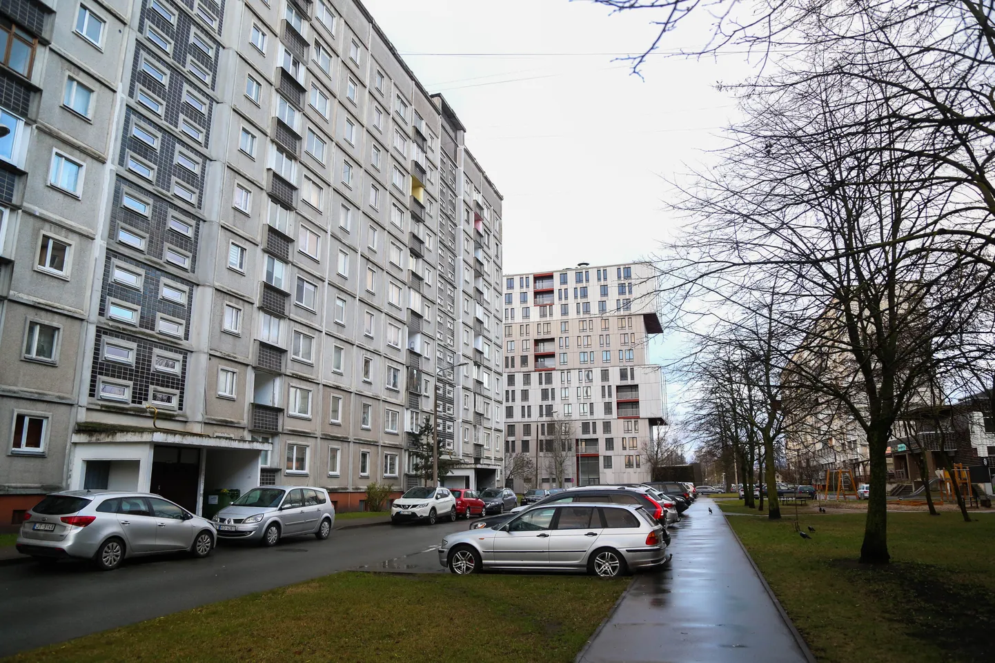 Raksta foto