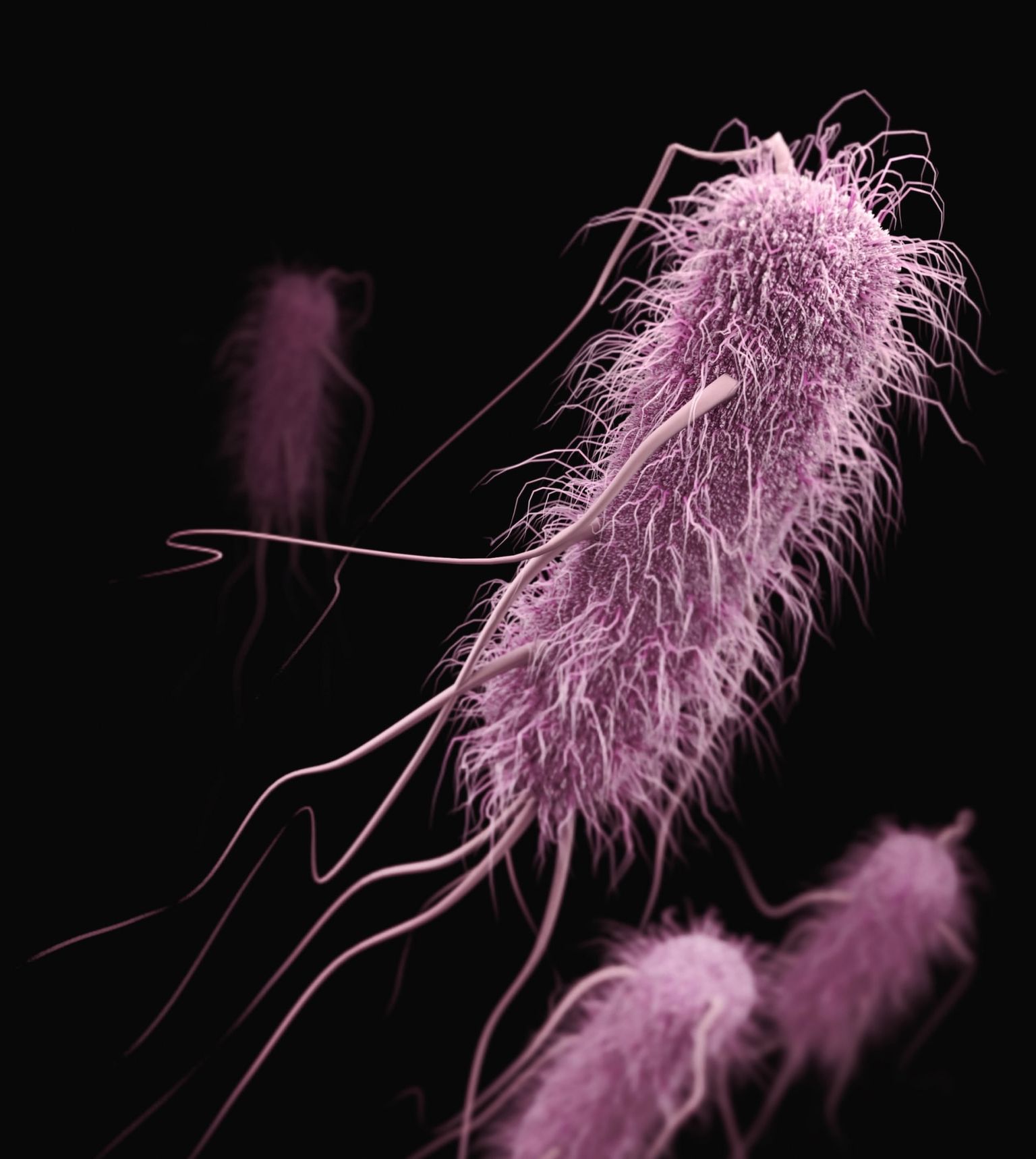 Illustreeriv pilt bakterist.