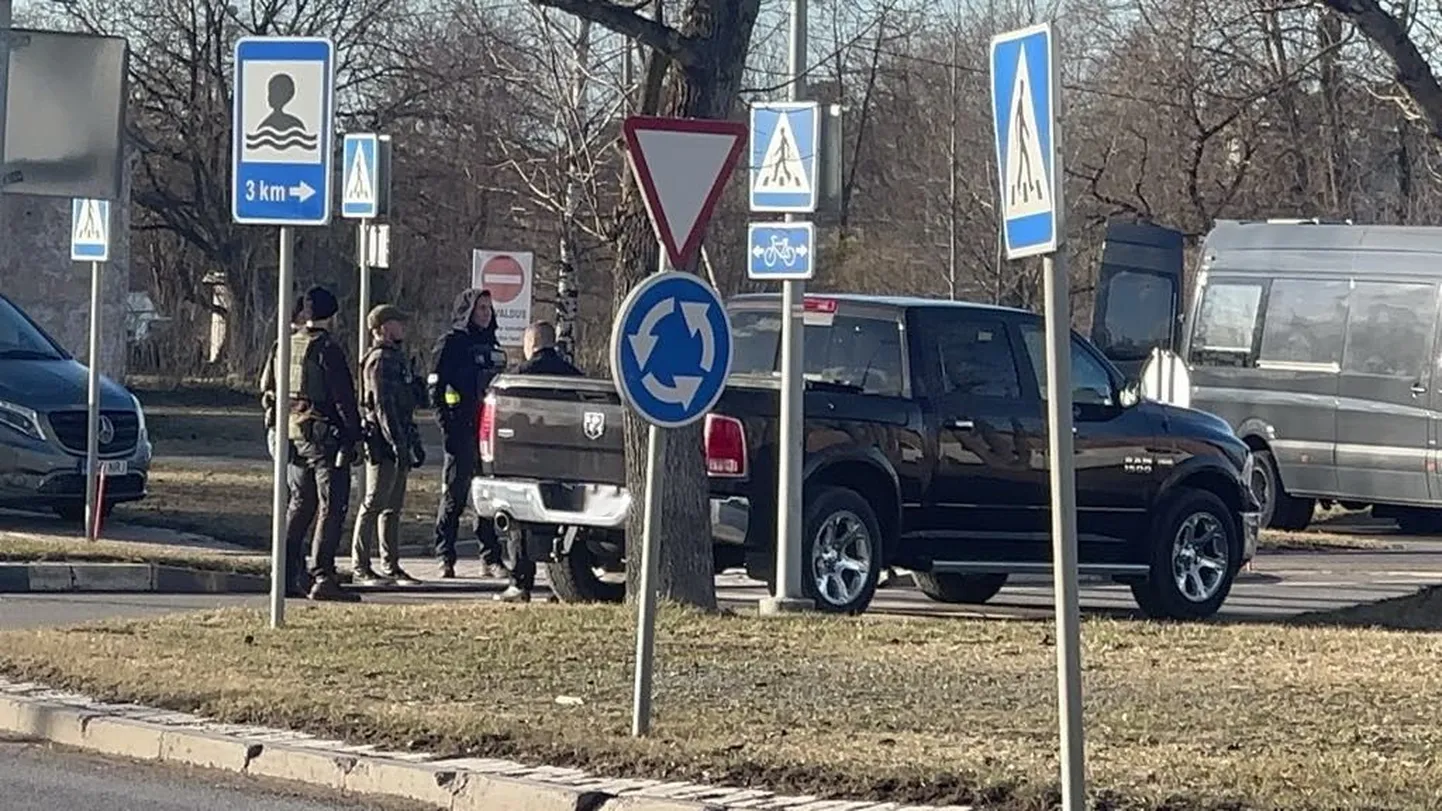 Фото статьи