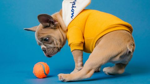 Horoskops ceturtdienai, 13. novembrim