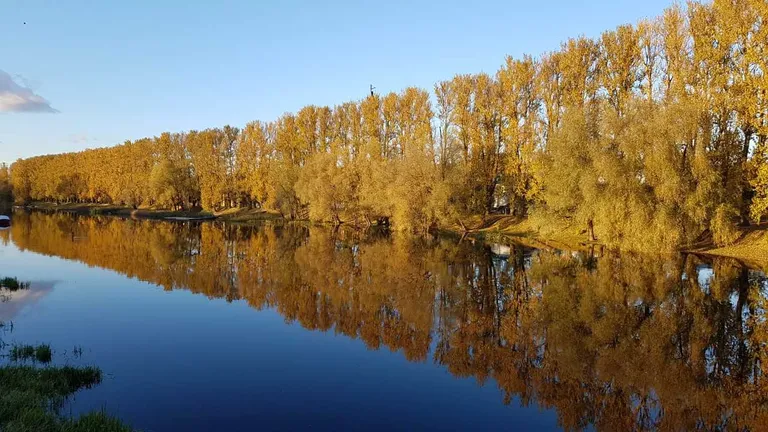 Artikli foto
