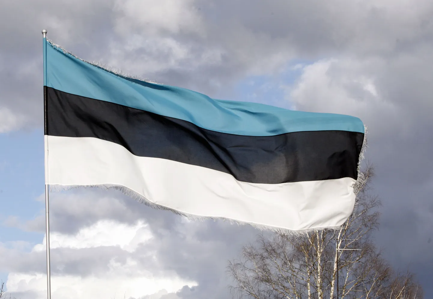 Эстонский флаг. Иллюстративный снимок.