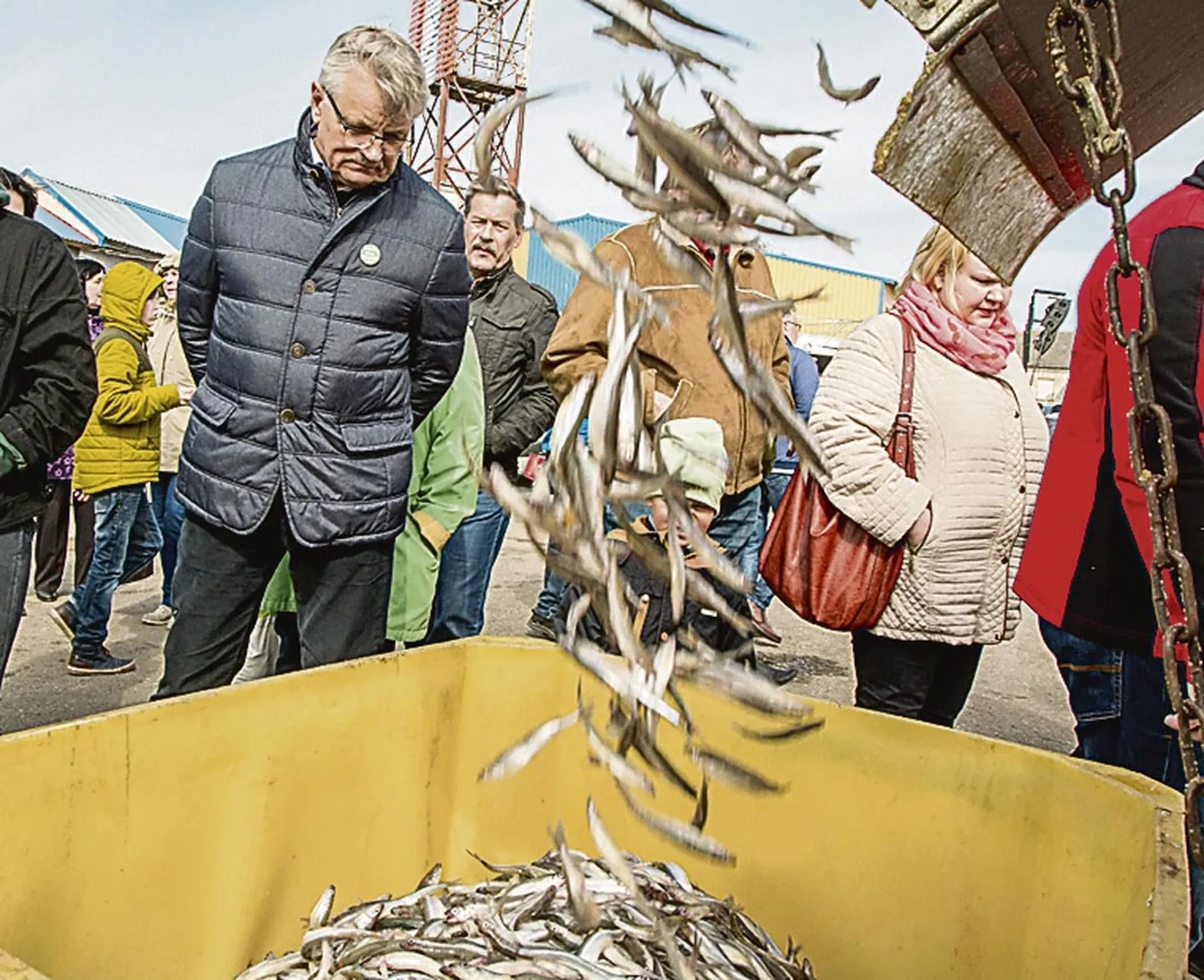Maaeluminister Tarmo Tamm uudistas Japsi kail äsja Pärnu lahest püütud rahvuskala räime saaki.