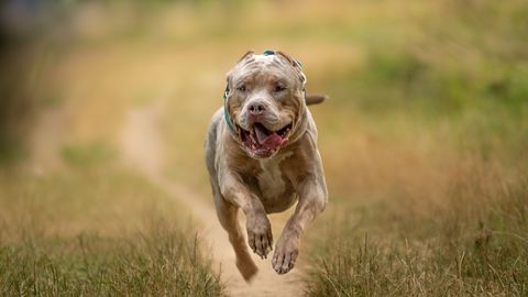 PÄEVAHOROSKOOP ⟩ 23. aprill:  Kalad on loomingulised, Sõnnid on aga üsna tundlikud