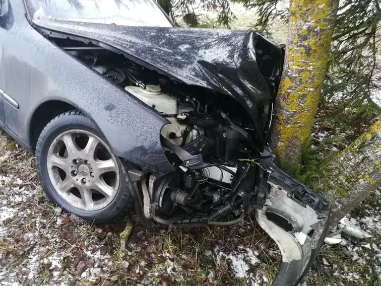 Lömmis mersu Assamallas.