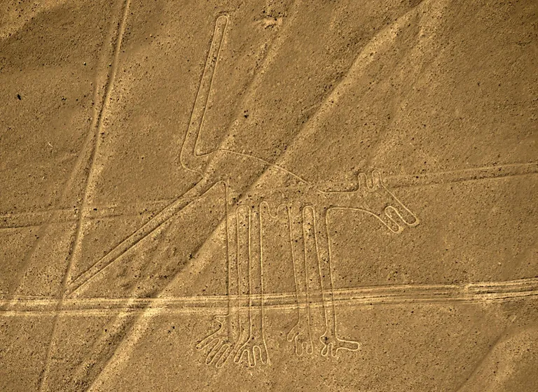 Nazca geoglüüfid, pildil koer