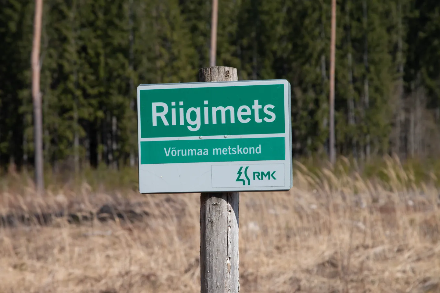Riigimets, metskond, mets, RMK silt, Võru metskond




Foto: Arvo Meeks / Lõuna-Eesti Postimees