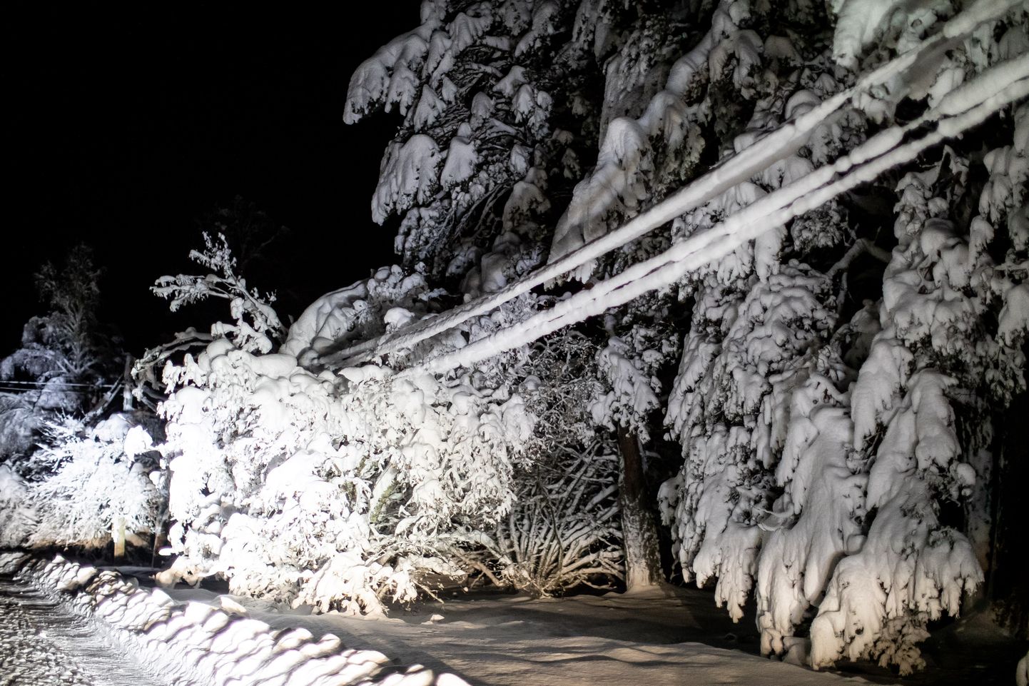 Lume all vajunud elektriliinid Saaremaal.