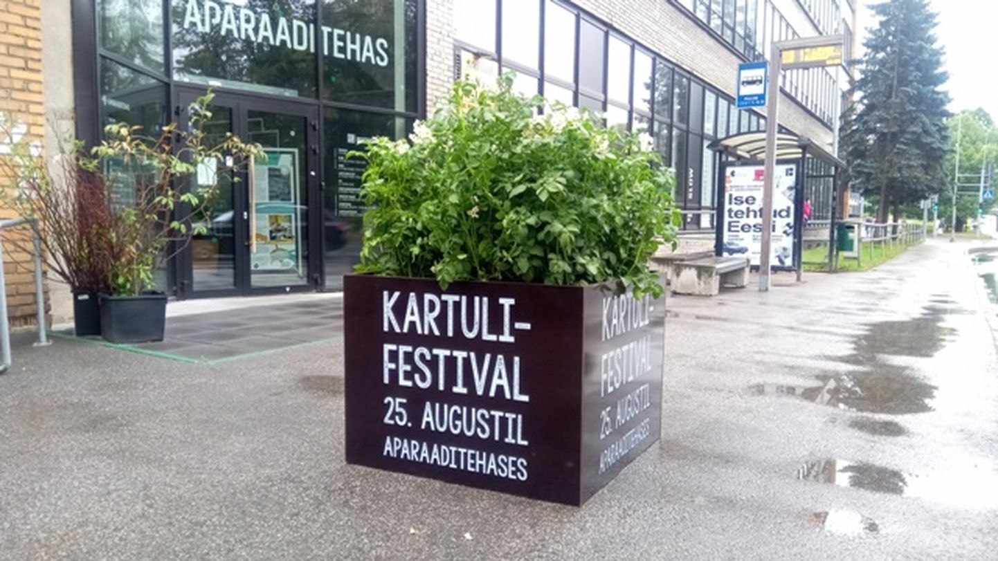 Tartu Aparaaditehases selgub ka Eesti lemmik­kartulisort.